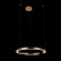 Подвесной светодиодный светильник Loft IT Ring 10013L