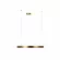 Подвесной светодиодный светильник Loft IT Ring 10013L, 3000, Теплый белый