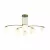 Потолочная люстра Freya Hanger FR5443CL-06BS