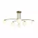 Потолочная люстра Freya Hanger FR5443CL-06BS