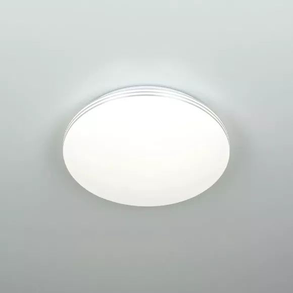 Потолочный светильник Citilux Симпла CL71424SV, Белый, От теплого до холодного, Металл, вид сверху