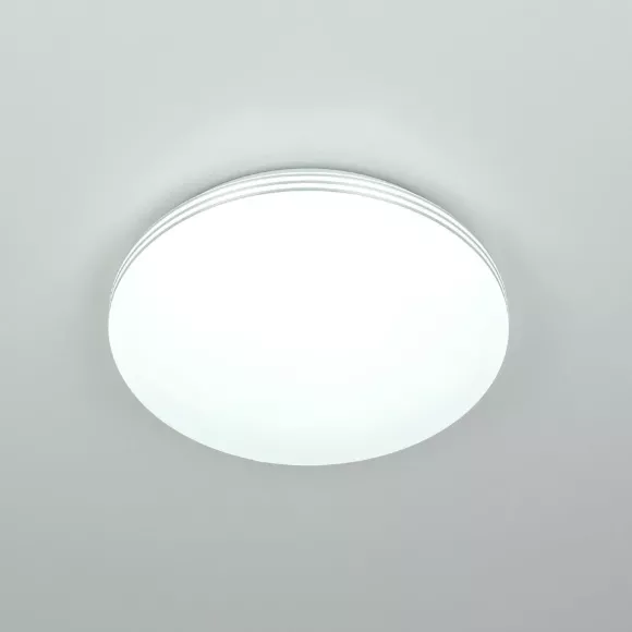 Потолочный светильник Citilux Симпла CL71424SV, 4000, 5500, От теплого до холодного