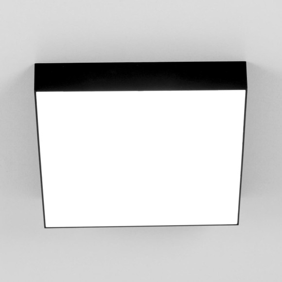 Потолочный светильник Citilux Тао CL712X242N