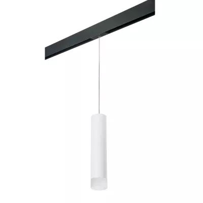 Трековый светильник Lightstar Rullo PRORP49631 (214496+595857+202431)