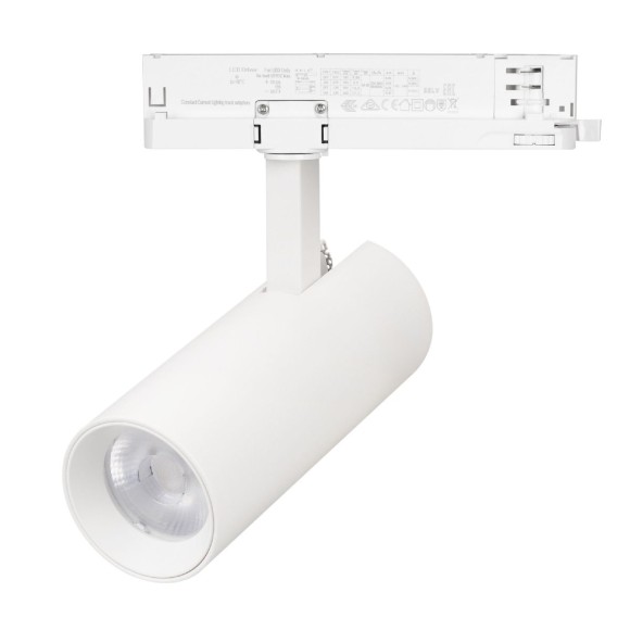 Трековый однофазный светильник Arlight LGD-GERA-2TR-R55-10W Warm3000 (WH, 24 deg, 230V) 055058
