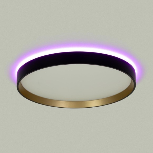 Потолочный светильник Citilux Etalon CL750321R