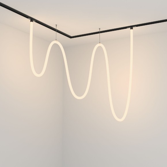 Трековый подвесной светильник Maytoni Tau TR101-2-100W3K-B