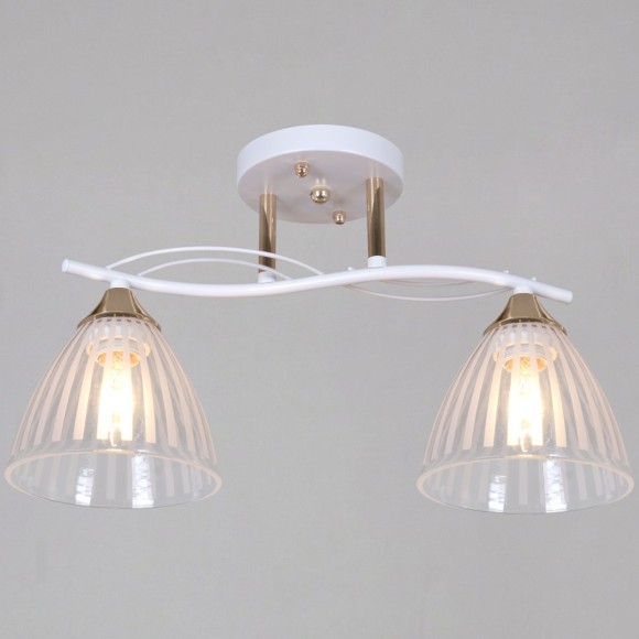 Потолочный светильник Reluce 73460-0.3-02 WH+FG