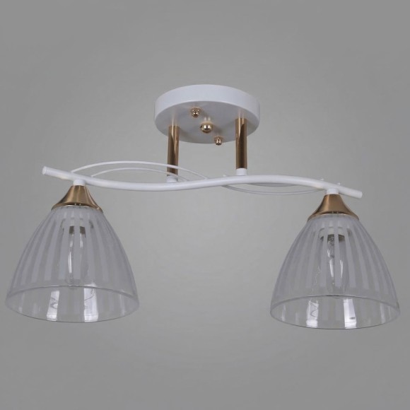 Потолочный светильник Reluce 73460-0.3-02 WH+FG