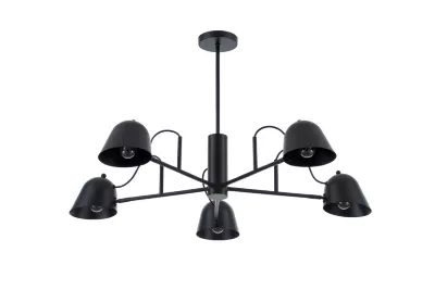 Потолочная люстра Myfar Lars MR2680-5P