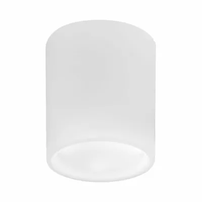 Накладной светильник Lightstar Solido E27 216626