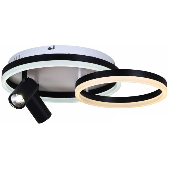 Потолочная светодиодная люстра с пультом управления Reluce 02464-0.3-550