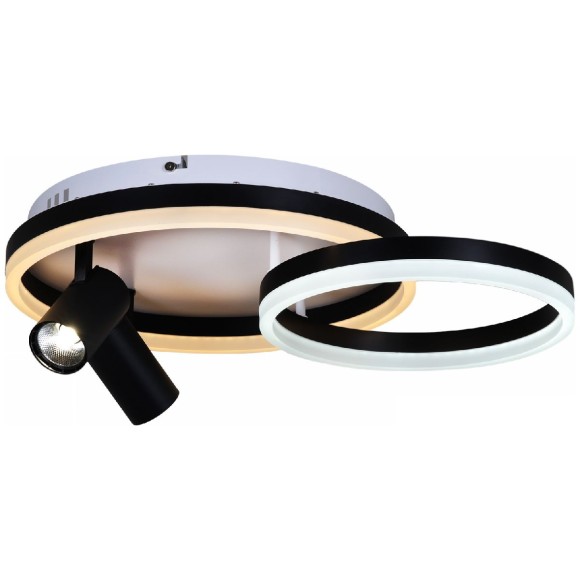 Потолочная светодиодная люстра с пультом управления Reluce 02464-0.3-550