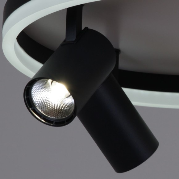 Потолочная светодиодная люстра с пультом управления Reluce 02464-0.3-550