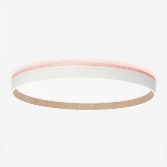 Потолочный светильник Citilux Etalon CL750400R