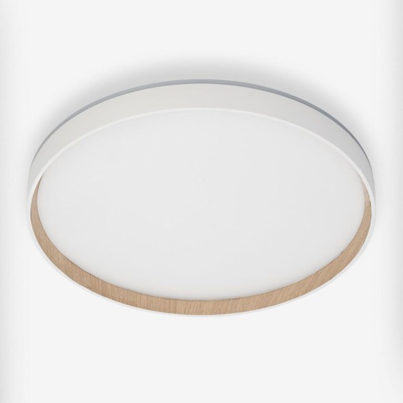 Потолочный светильник Citilux Etalon CL750400R