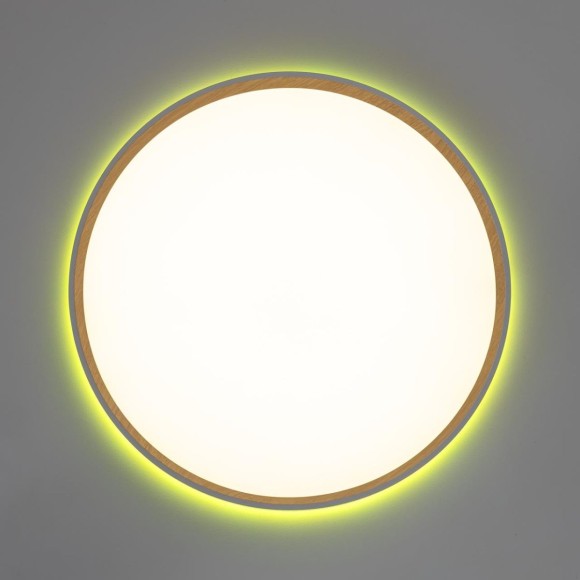 Потолочный светильник Citilux Etalon CL750400R