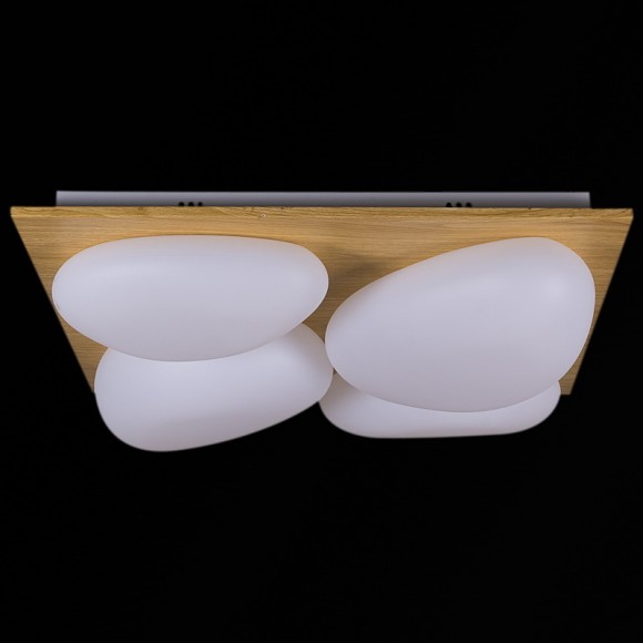 Потолочная светодиодная люстра с пультом управления Reluce 10010-0.3-80W AEROLITE