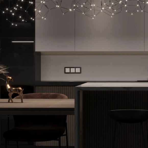 Сенсорный выключатель двухклавишный с подсветкой Werkel 4690389198021 W4522001 a063598