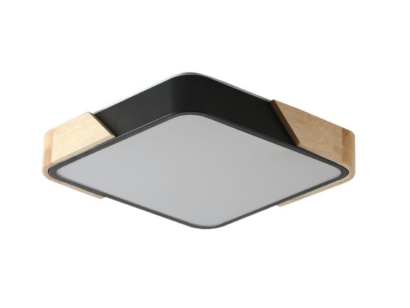 Потолочный светильник Zortes Alberro ZRS.01281.24