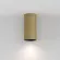 Накладной светильник Maytoni Artisan C080CL-01-GU10-MG
