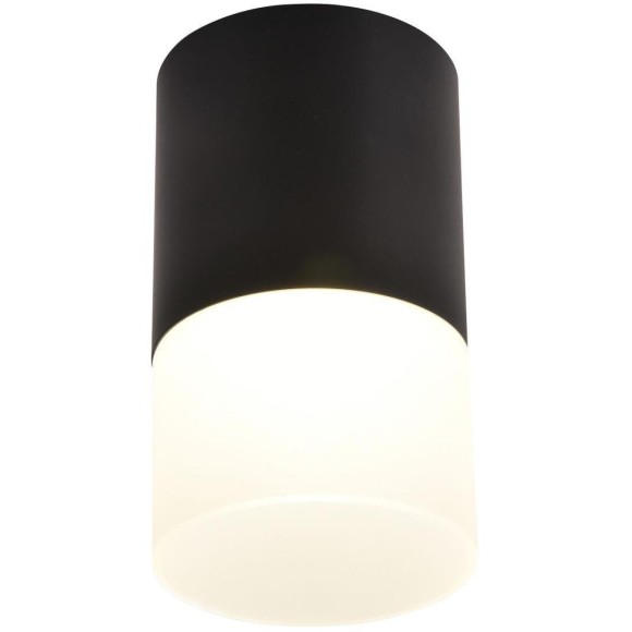 Накладной светильник Favourite Naram 3070-1C