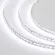 Светодиодная лента Arlight RT-A120-8mm 24V White6000 (9.6 W/m, IP20, 2835, 50m) 024568(2)