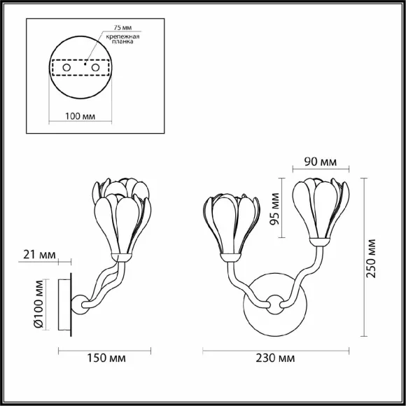 Бра Odeon Light Gardi Modern 5090/2W, вид сверху Бра Odeon Light Gardi Modern 5090/2W, вид сверху