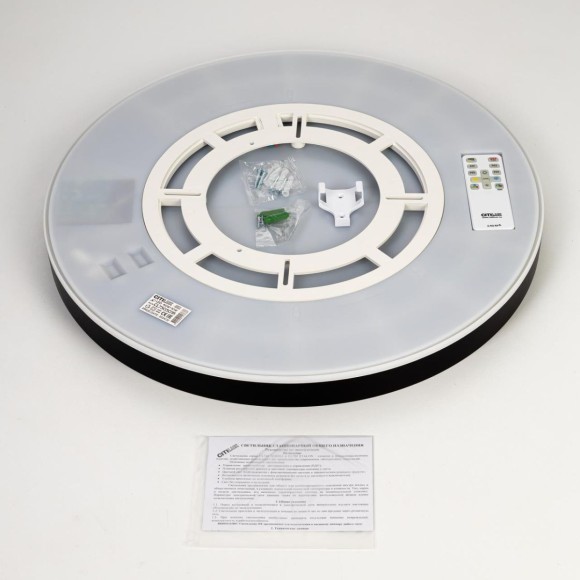 Потолочный светильник Citilux Etalon CL750501R