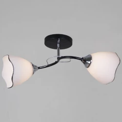 Потолочный светильник Reluce 79360-0.3-02 BK+CR