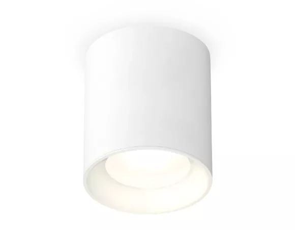 Потолочный светильник Ambrella Light Techno Spot XS7421010 (C7421, N7020) Потолочный светильник Ambrella Light Techno Spot XS7421010 (C7421, N7020)