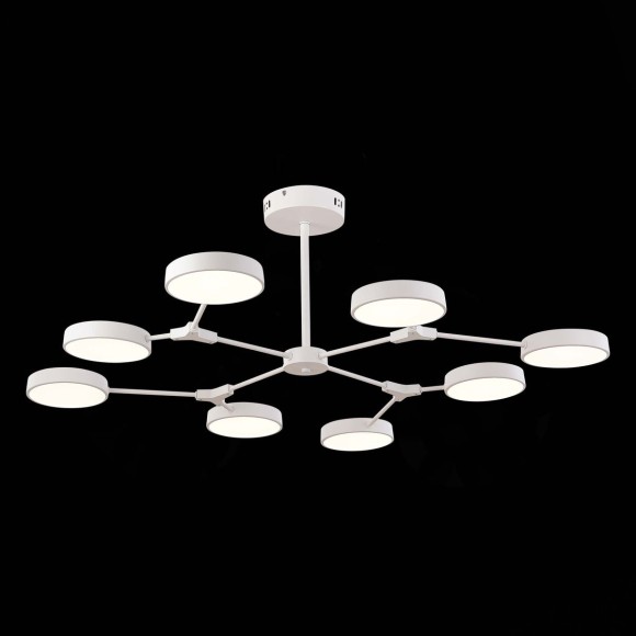 Потолочный светильник Evoluce Monta SLE6003-502-08