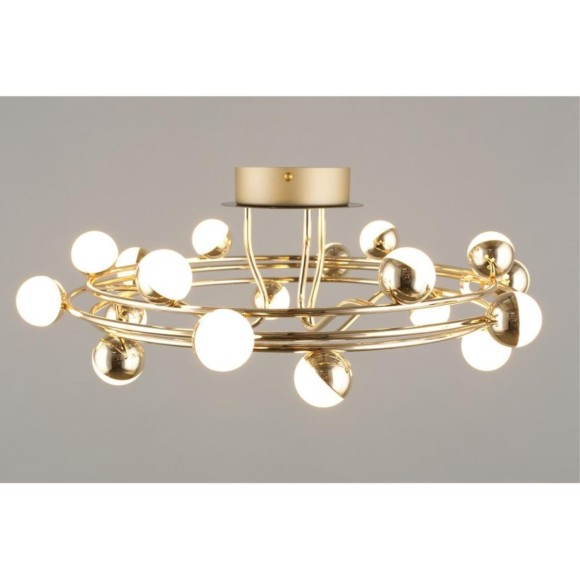 Потолочная светодиодная люстра Aployt Delfin APL.774.07.54