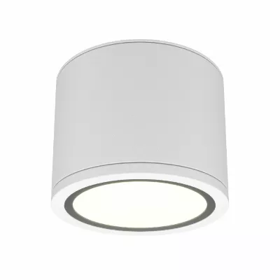 Накладной светильник Maytoni Rendo C095CL-GX53-W