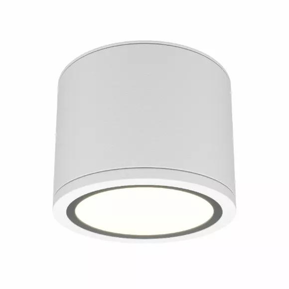 Накладной светильник Maytoni Rendo C095CL-GX53-W