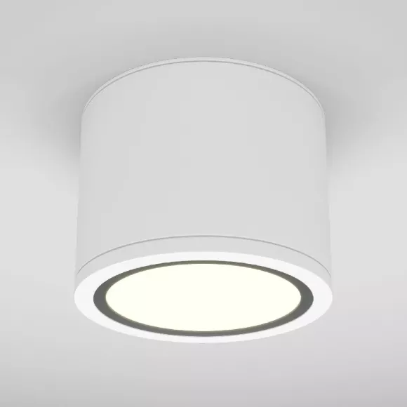 Накладной светильник Maytoni Rendo C095CL-GX53-W