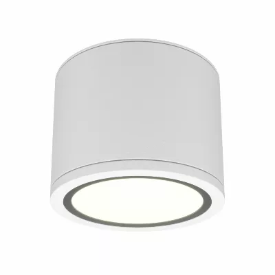 Накладной светильник Maytoni Rendo C095CL-GX53-W