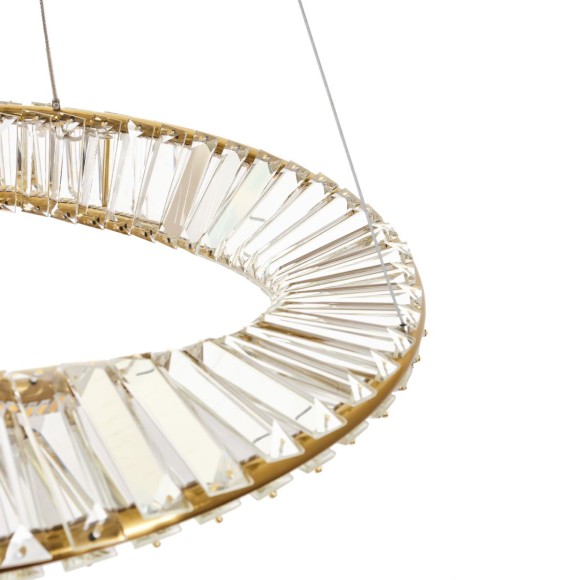 Подвесная светодиодная люстра Myfar Ricky MR1260-PL