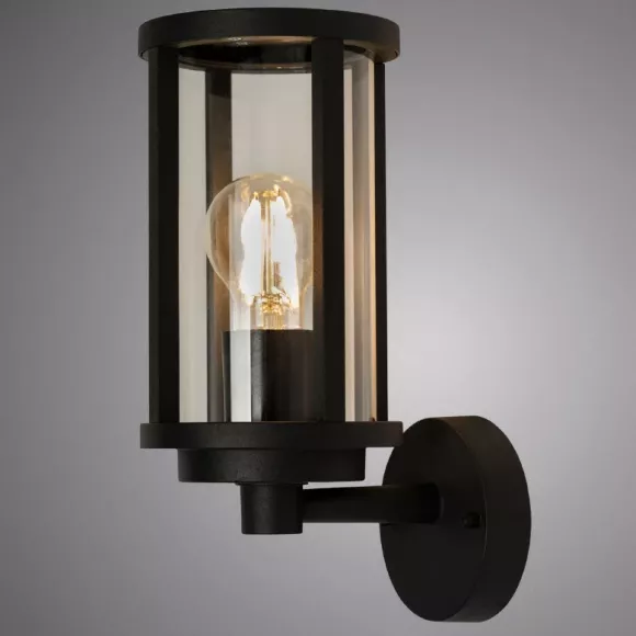 Настенный светильник ARTE Lamp A1036AL-1BK, Современный, Прозрачный