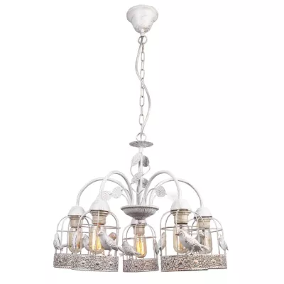 Подвесная люстра Arte Lamp Cincia A5090LM-5WG