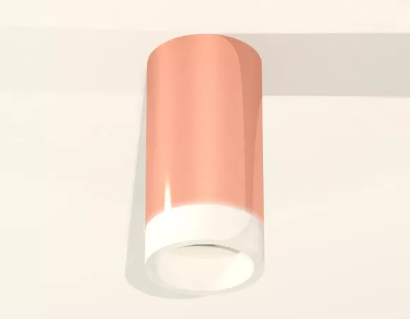 Потолочный светильник Ambrella Light Techno Spot XS6326021 (C6326, N6248) Потолочный светильник Ambrella Light Techno Spot XS6326021 (C6326, N6248)