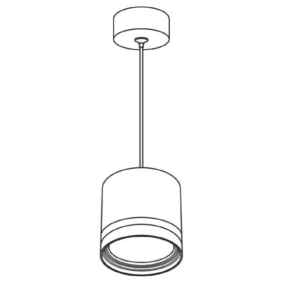 Подвесной светильник Citilux Hardy CL002P10