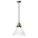 Подвесной светильник Loft IT Factory filament LOFT1123, Черный, Прозрачный, Металл, крупный план