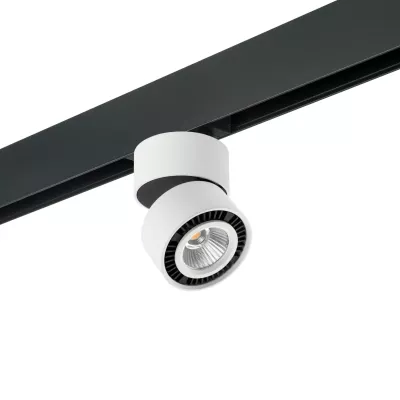 Трековый светильник Lightstar Forte Muro PRO213816 (595061+213816)