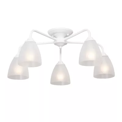 Потолочная люстра Vitaluce V3946-0/5PL