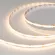 Светодиодная лента Arlight 11,5W/m 544LED/m CSP теплый белый 5M 031900(2)