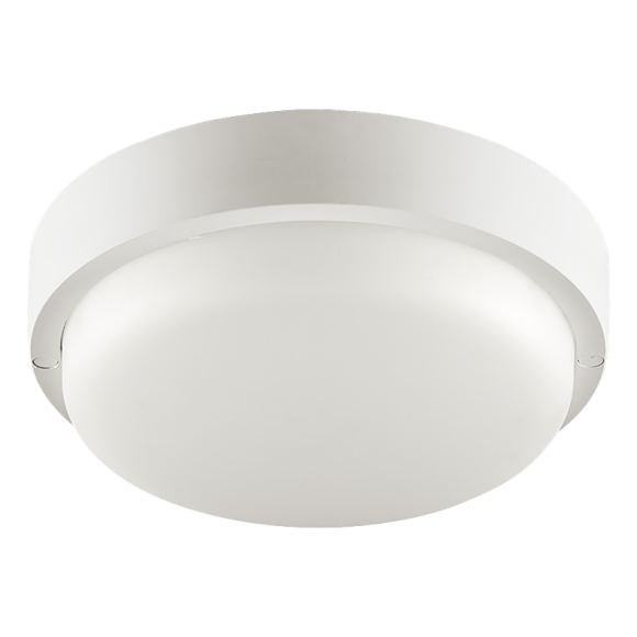 Настенно-потолочный светильник Wolta LCL04-12W-R41-6K-SBA