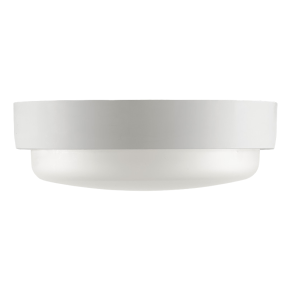 Настенно-потолочный светильник Wolta LCL04-12W-R41-6K-SBA