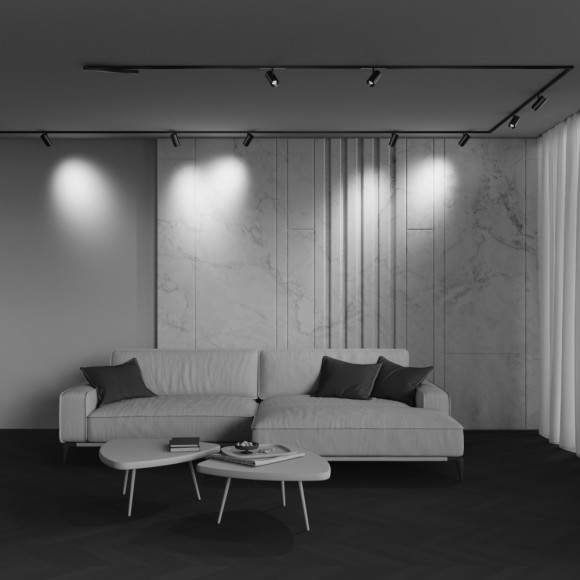 Трековый магнитный светильник Maytoni Technical Focus Zoom Exility X TR244-12W3K-B