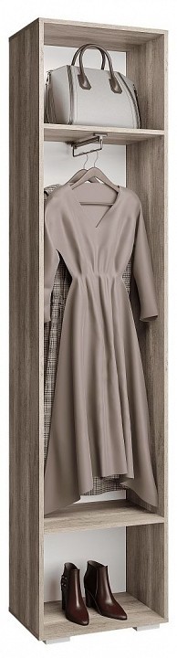 Шкаф платяной Наоми BTS_00-00025924
